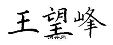 丁谦王望峰楷书个性签名怎么写