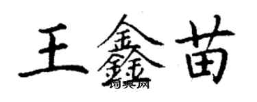 丁谦王鑫苗楷书个性签名怎么写