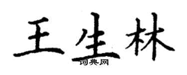 丁谦王生林楷书个性签名怎么写