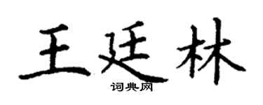 丁谦王廷林楷书个性签名怎么写