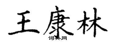 丁谦王康林楷书个性签名怎么写