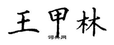 丁谦王甲林楷书个性签名怎么写