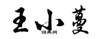 胡问遂王小蔓行书个性签名怎么写