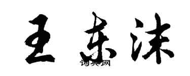 胡问遂王东沫行书个性签名怎么写