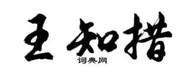 胡问遂王知措行书个性签名怎么写