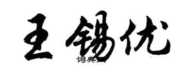 胡问遂王锡优行书个性签名怎么写