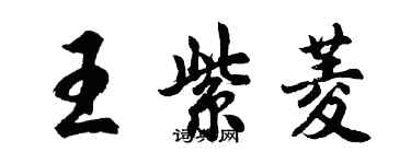 胡问遂王紫菱行书个性签名怎么写
