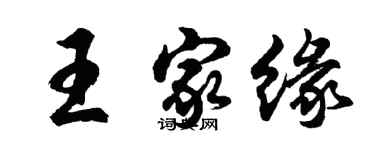 胡问遂王家缘行书个性签名怎么写