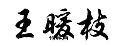 胡问遂王暖枝行书个性签名怎么写