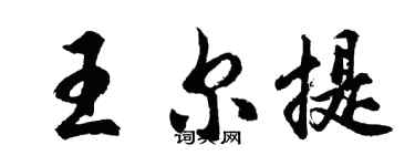 胡问遂王尔提行书个性签名怎么写
