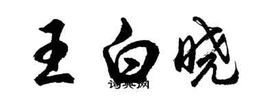 胡问遂王白晓行书个性签名怎么写