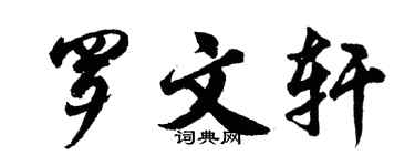 胡问遂罗文轩行书个性签名怎么写