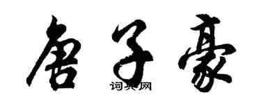 胡问遂唐子豪行书个性签名怎么写