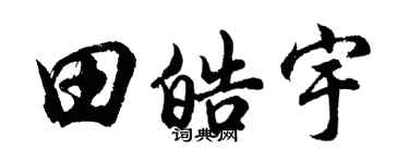 胡问遂田皓宇行书个性签名怎么写