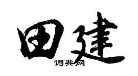 胡问遂田建行书个性签名怎么写