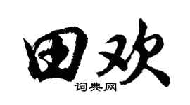 胡问遂田欢行书个性签名怎么写