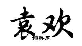胡问遂袁欢行书个性签名怎么写