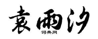 胡问遂袁雨汐行书个性签名怎么写