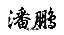 胡问遂潘鹏行书个性签名怎么写