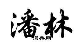 胡问遂潘林行书个性签名怎么写