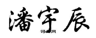 胡问遂潘宇辰行书个性签名怎么写