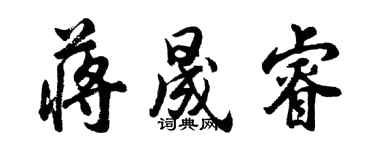 胡问遂蒋晟睿行书个性签名怎么写