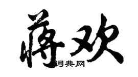 胡问遂蒋欢行书个性签名怎么写