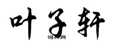 胡问遂叶子轩行书个性签名怎么写