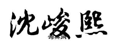 胡问遂沈峻熙行书个性签名怎么写