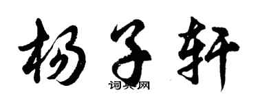 胡问遂杨子轩行书个性签名怎么写