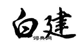 胡问遂白建行书个性签名怎么写