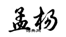 胡问遂孟杨行书个性签名怎么写
