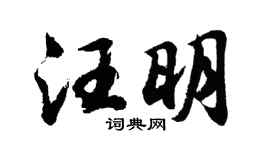 胡问遂汪明行书个性签名怎么写