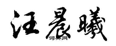 胡问遂汪晨曦行书个性签名怎么写