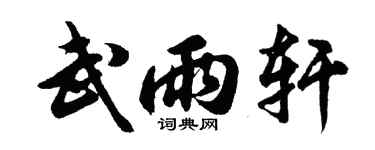 胡问遂武雨轩行书个性签名怎么写