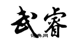 胡问遂武睿行书个性签名怎么写