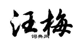 胡问遂汪梅行书个性签名怎么写