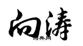 胡问遂向涛行书个性签名怎么写
