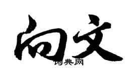 胡问遂向文行书个性签名怎么写