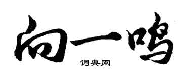 胡问遂向一鸣行书个性签名怎么写