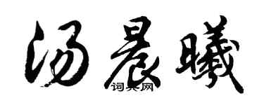 胡问遂汤晨曦行书个性签名怎么写