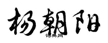 胡问遂杨朝阳行书个性签名怎么写