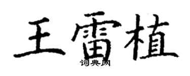 丁谦王雷植楷书个性签名怎么写