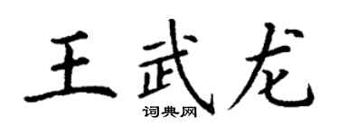 丁谦王武龙楷书个性签名怎么写