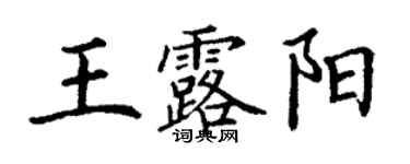 丁谦王露阳楷书个性签名怎么写