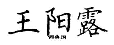 丁谦王阳露楷书个性签名怎么写