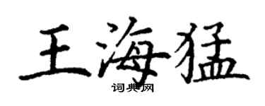 丁谦王海猛楷书个性签名怎么写