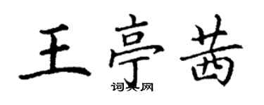 丁谦王亭茜楷书个性签名怎么写