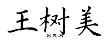 丁谦王树美楷书个性签名怎么写