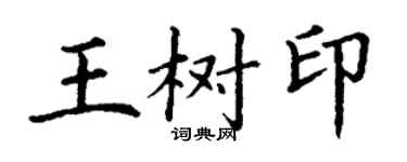 丁谦王树印楷书个性签名怎么写